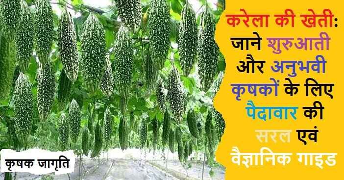 Bitter Gourd Farming in Hindi: जानिए करेला कैसे उगाएं