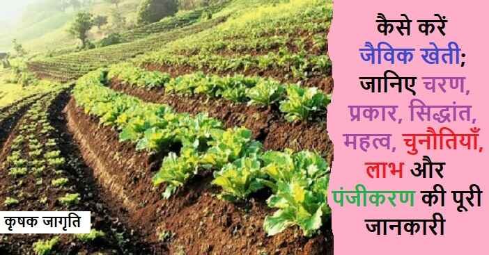 Organic Farming in Hindi: जाने जैविक खेती कैसे करें