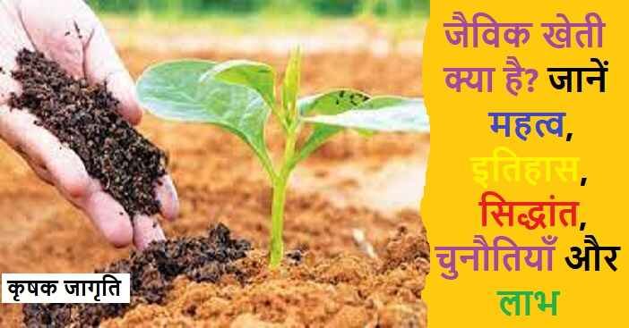 What is Organic Farming in Hindi: जैविक खेती क्या है?